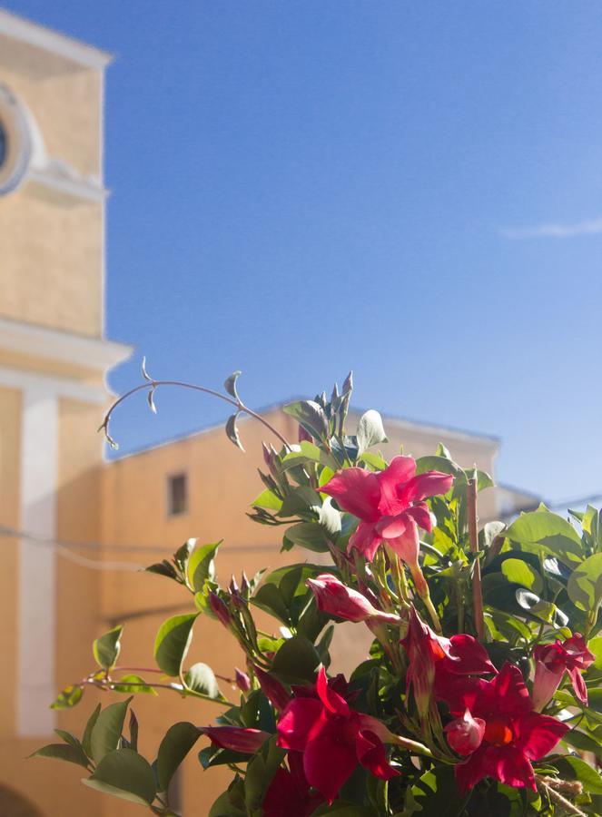 B&B San Trifone Adelfia Exterior photo